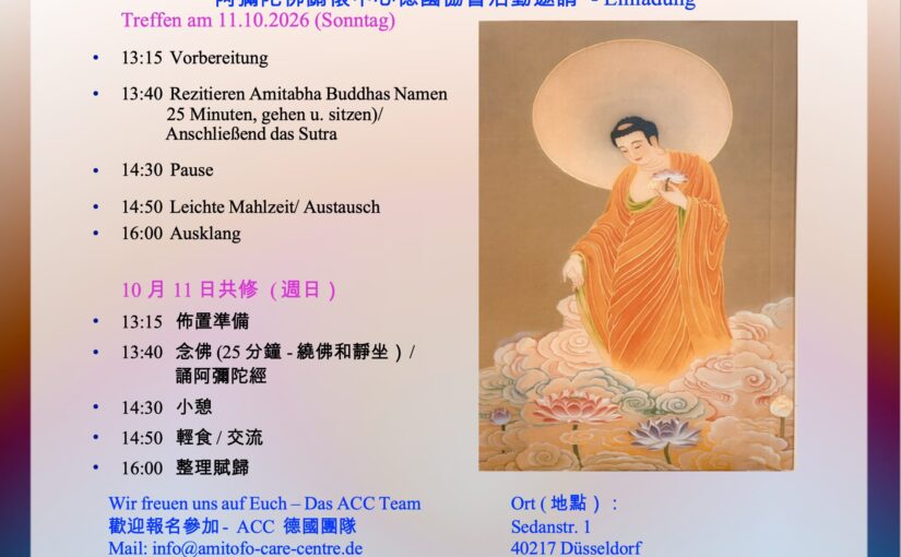 2026年10月11日会议